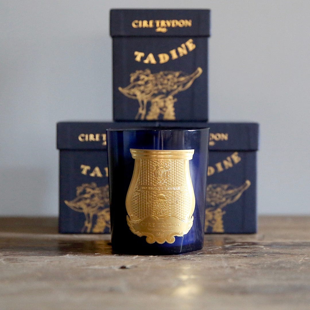 New In Box Cire Trudon orders Fir Candle 9.5 ounce original price $145 270 gram