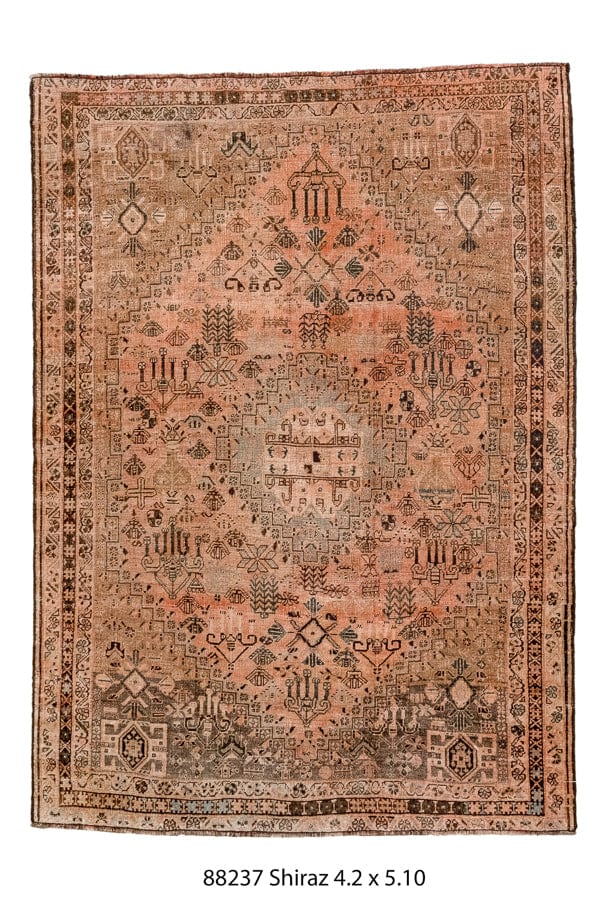 Eliko Rugs Shiraz 5'10" x 4'2"